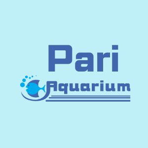 Pari Aquarium in Nehru Nagar Kurla East Pet Shop Pet Accessories Mumbai India AreaOnline.in